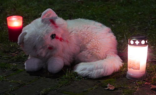 © www.mutbuergerdokus.de: Mahnwache vor dem Tierversuchslabor der Universität Düsseldorf