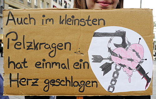 © www.mutbuergerdokus.de: Demonstration gegen Pelz 2015