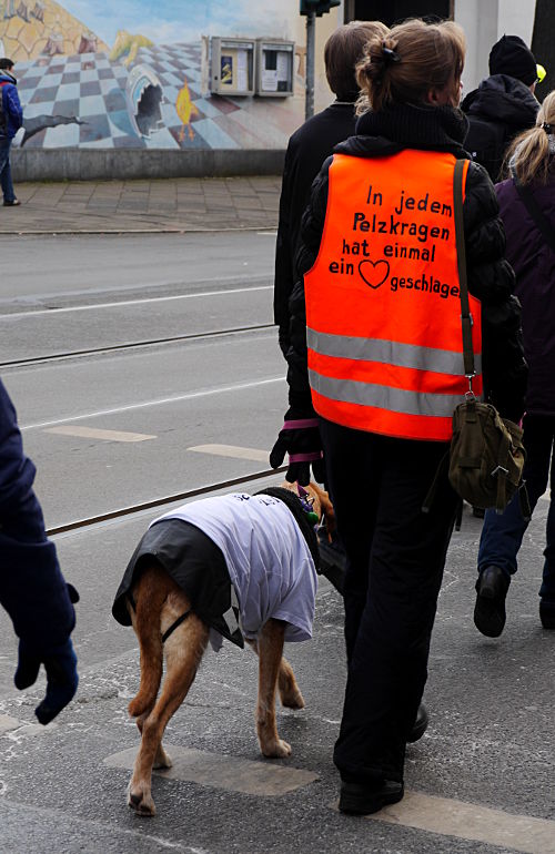 © www.mutbuergerdokus.de: Demonstration gegen Pelz 2015