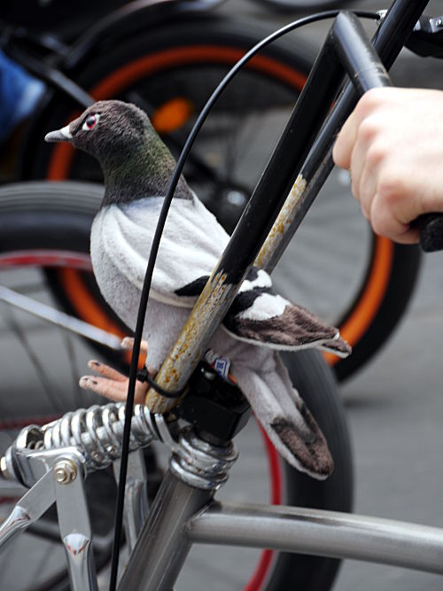 © www.mutbuergerdokus.de: ADFC Fahrrad Sternfahrt NRW 2015