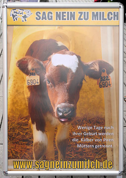 © www.mutbuergerdokus.de: Tierrechtsdemonstration Düsseldorf 2015