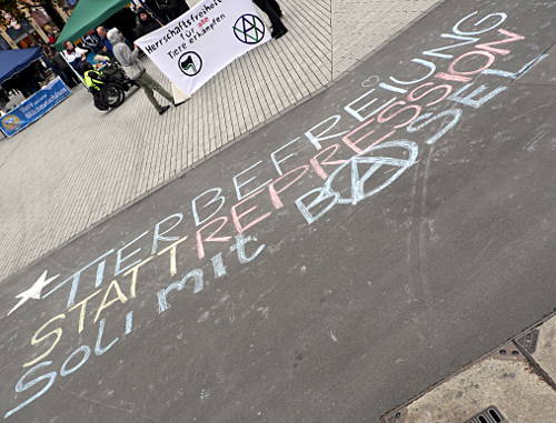 © www.mutbuergerdokus.de: Tierrechtsdemonstration Düsseldorf 2015