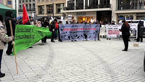 © www.mutbuergerdokus.de: Tierrechtsdemonstration Düsseldorf 2015