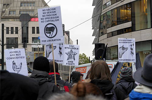 © www.mutbuergerdokus.de: Tierrechtsdemonstration Düsseldorf 2015