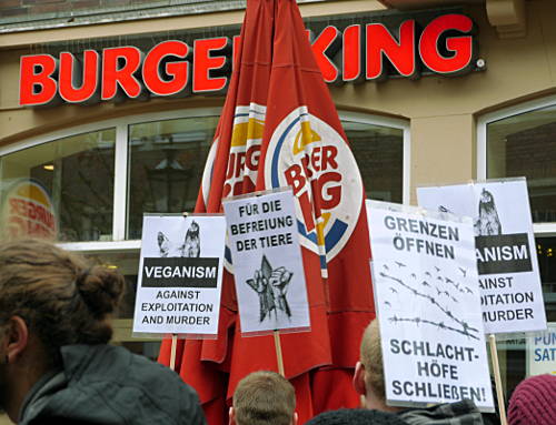 © www.mutbuergerdokus.de: Tierrechtsdemonstration Düsseldorf 2015