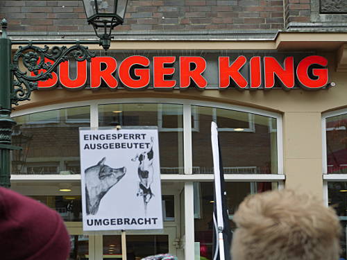 © www.mutbuergerdokus.de: Tierrechtsdemonstration Düsseldorf 2015