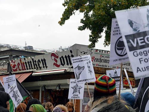 © www.mutbuergerdokus.de: Tierrechtsdemonstration Düsseldorf 2015