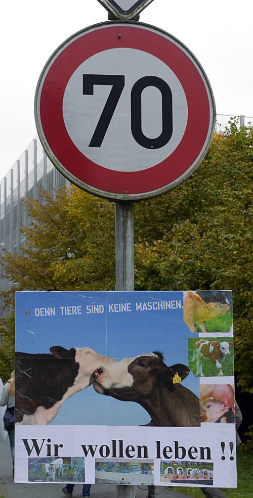 © www.mutbuergerdokus.de: Schlachthof-Mahnwache Tönnies