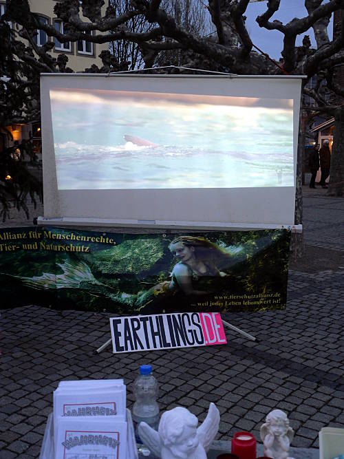 © www.mutbuergerdokus.de: 'Freiheit für die Delfine'
