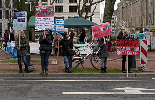 © www.mutbuergerdokus.de: Fackelmahnwache gegen Tierversuche