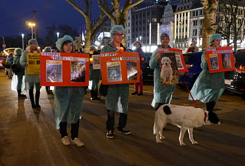 © www.mutbuergerdokus.de: Fackelmahnwache gegen Tierversuche