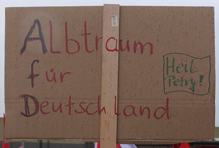 © www.mutbuergerdokus.de: 'Protest gegen AfD'