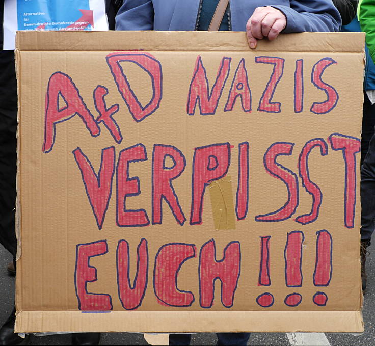 © www.mutbuergerdokus.de: 'Protest gegen AfD'