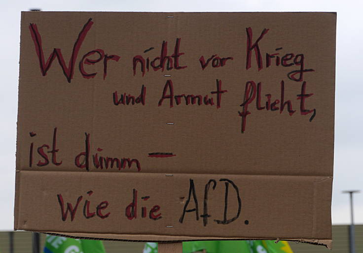 © www.mutbuergerdokus.de: 'Protest gegen AfD'