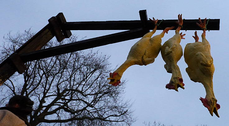 © www.mutbuergerdokus.de: Protest gegen Wiesenhof-Kooperation mit Atze Schröder