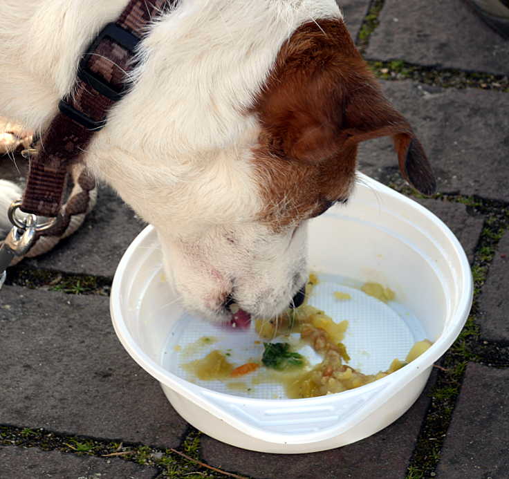 © www.mutbuergerdokus.de: 'Saatgutfestival Düsseldorf'