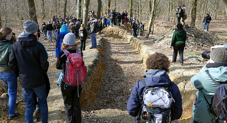 © www.mutbuergerdokus.de: Hambacher Forst