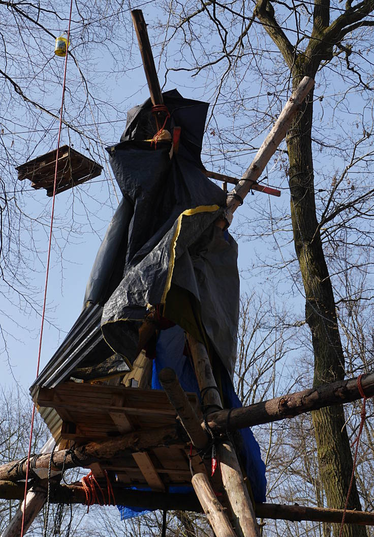 © www.mutbuergerdokus.de: Hambacher Forst