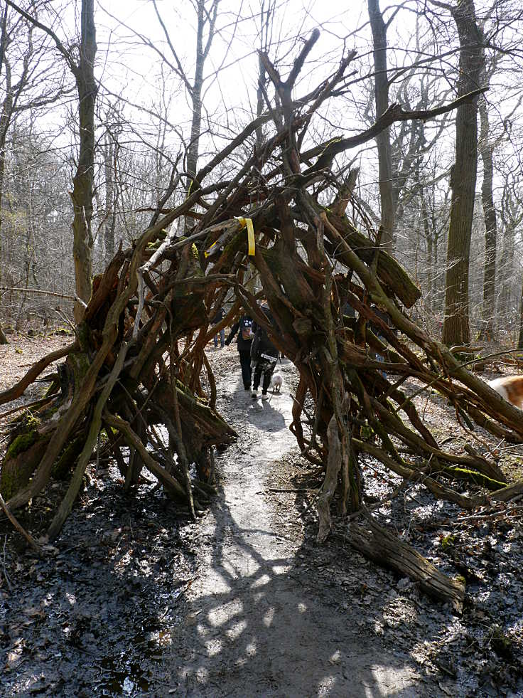 © www.mutbuergerdokus.de: Hambacher Forst