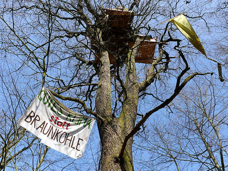 © www.mutbuergerdokus.de: Hambacher Forst