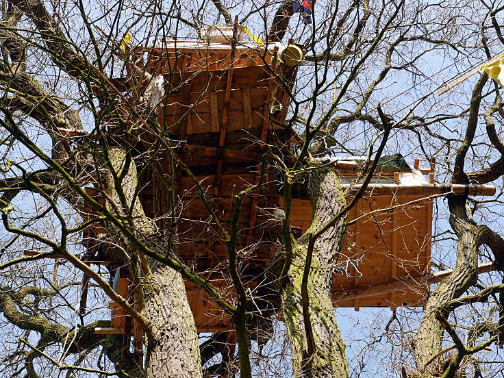 © www.mutbuergerdokus.de: Hambacher Forst