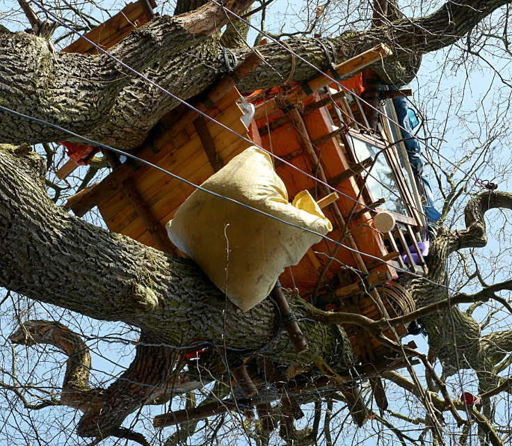 © www.mutbuergerdokus.de: Hambacher Forst