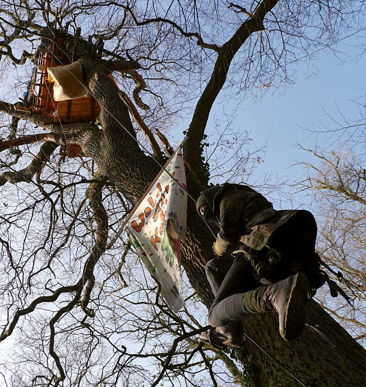 © www.mutbuergerdokus.de: Hambacher Forst