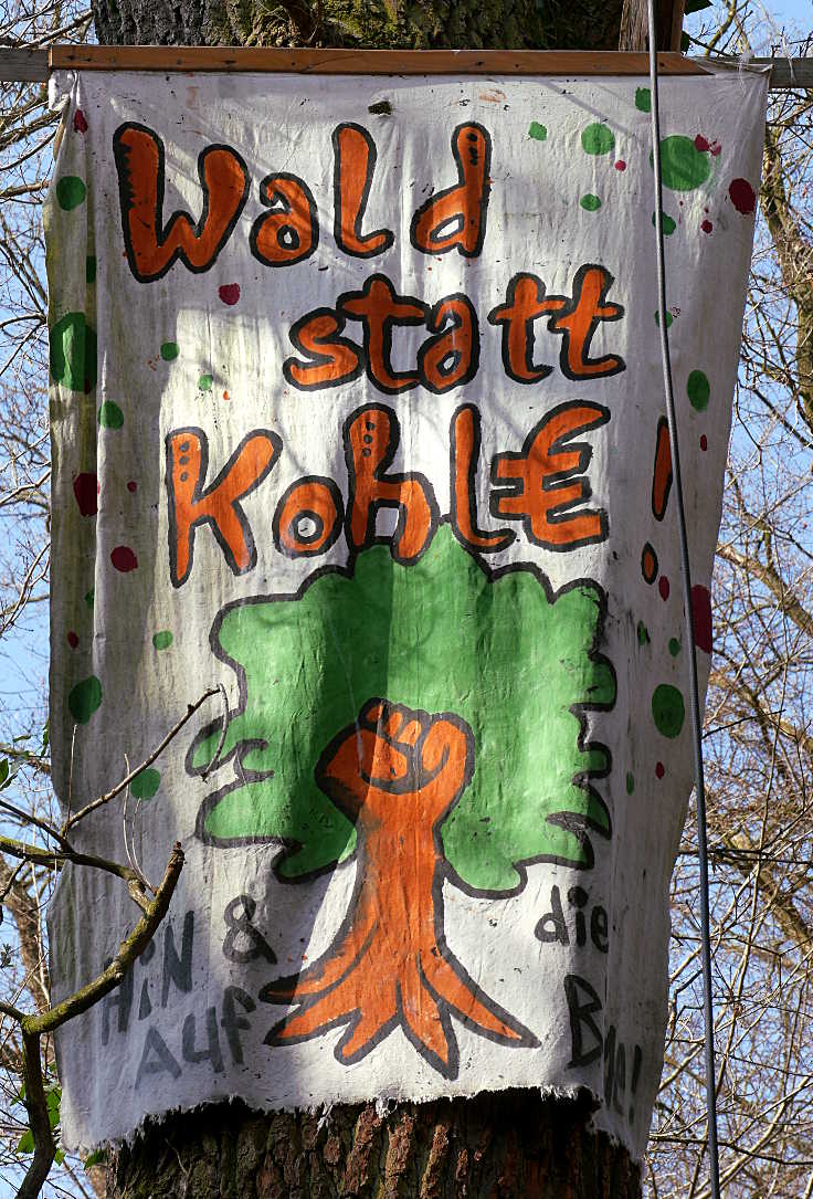 © www.mutbuergerdokus.de: Hambacher Forst