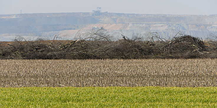 © www.mutbuergerdokus.de: Hambacher Forst