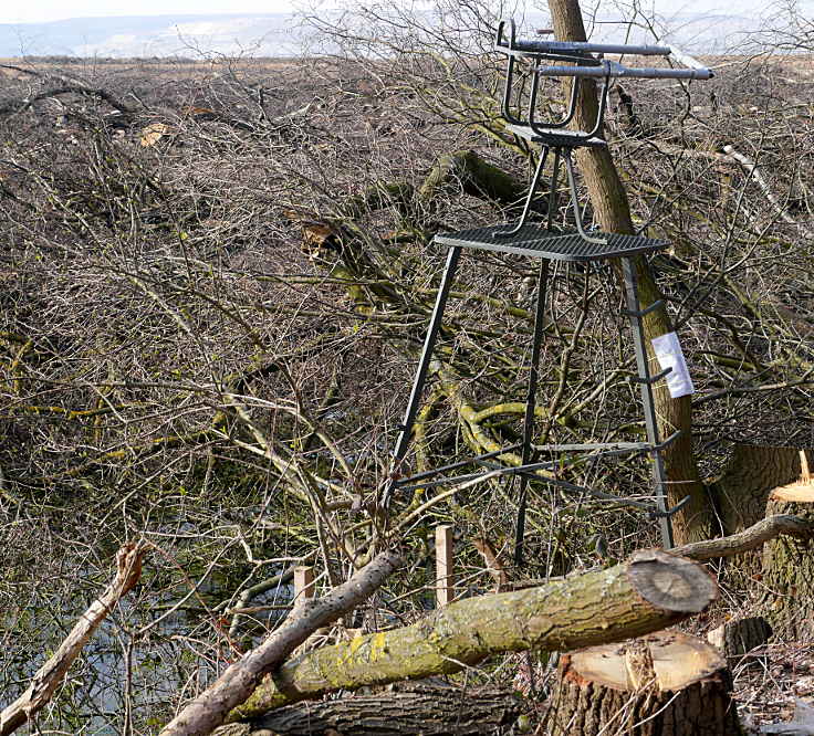 © www.mutbuergerdokus.de: Hambacher Forst