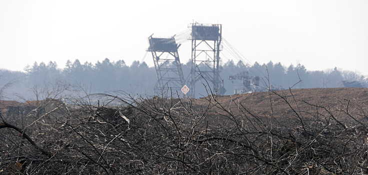 © www.mutbuergerdokus.de: Hambacher Forst