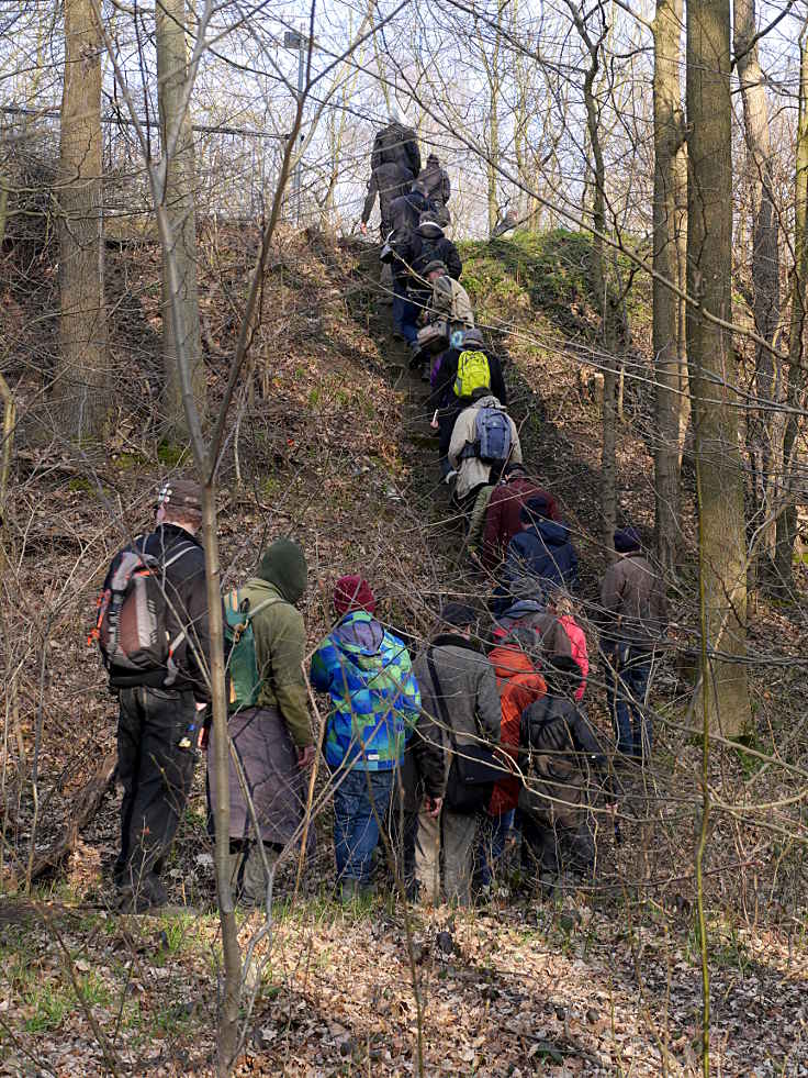 © www.mutbuergerdokus.de: Hambacher Forst