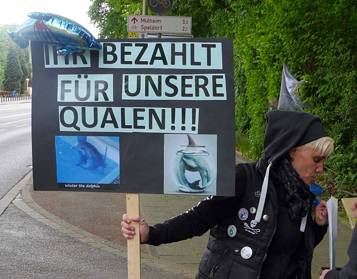 © www.mutbuergerdokus.de: Mahnwache gegen das Delfinarium