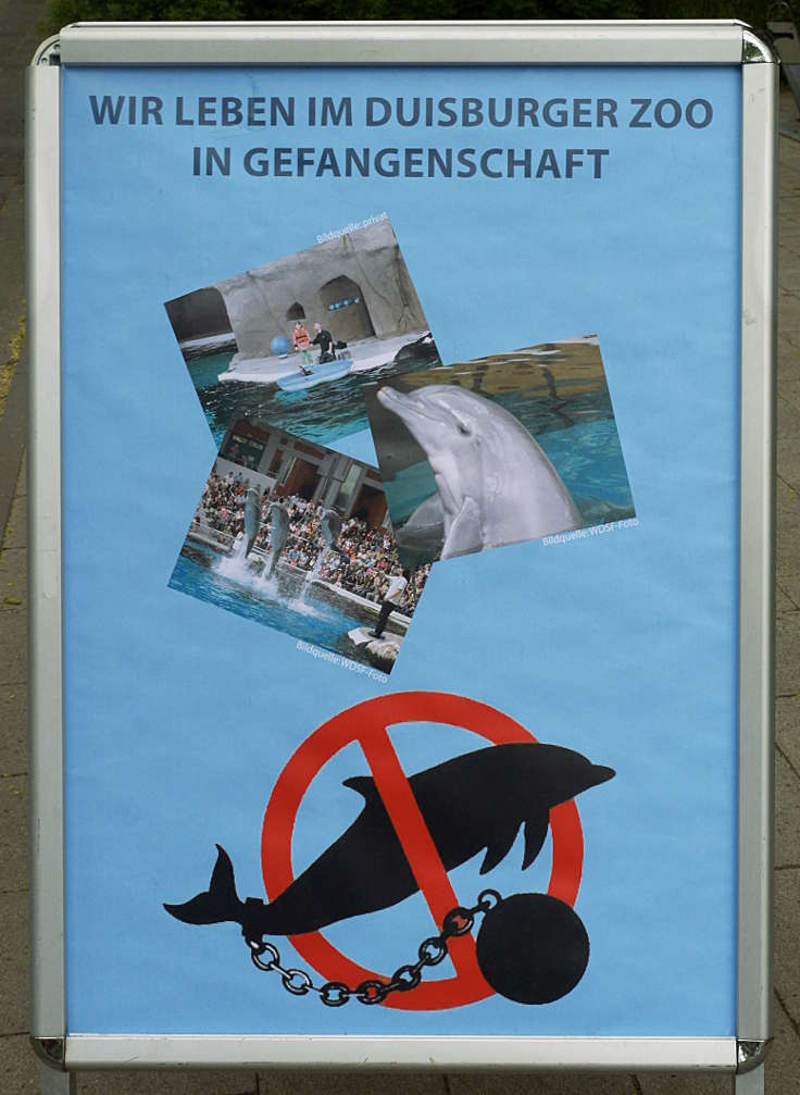 © www.mutbuergerdokus.de: Mahnwache gegen das Delfinarium