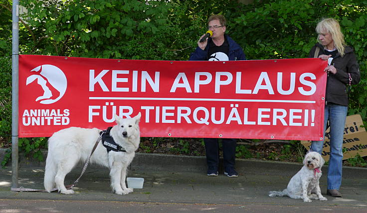 © www.mutbuergerdokus.de: Mahnwache gegen das Delfinarium