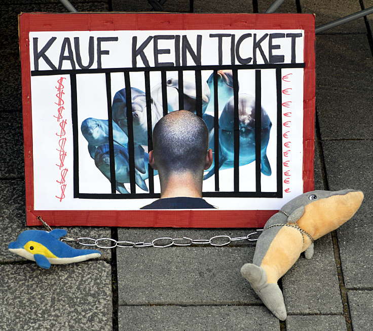 © www.mutbuergerdokus.de: Mahnwache und Marsch gegen das Delfin- und Walmassaker