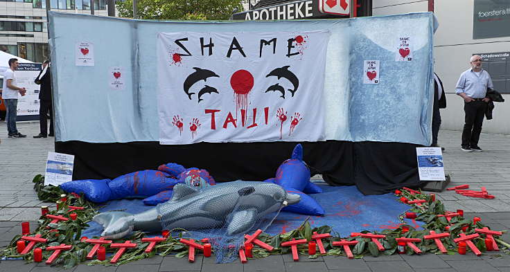 © www.mutbuergerdokus.de: Mahnwache und Marsch gegen das Delfin- und Walmassaker