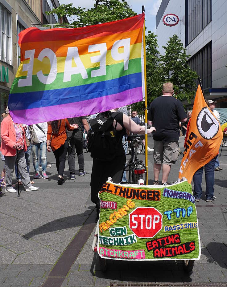 © www.mutbuergerdokus.de: March against Monsanto