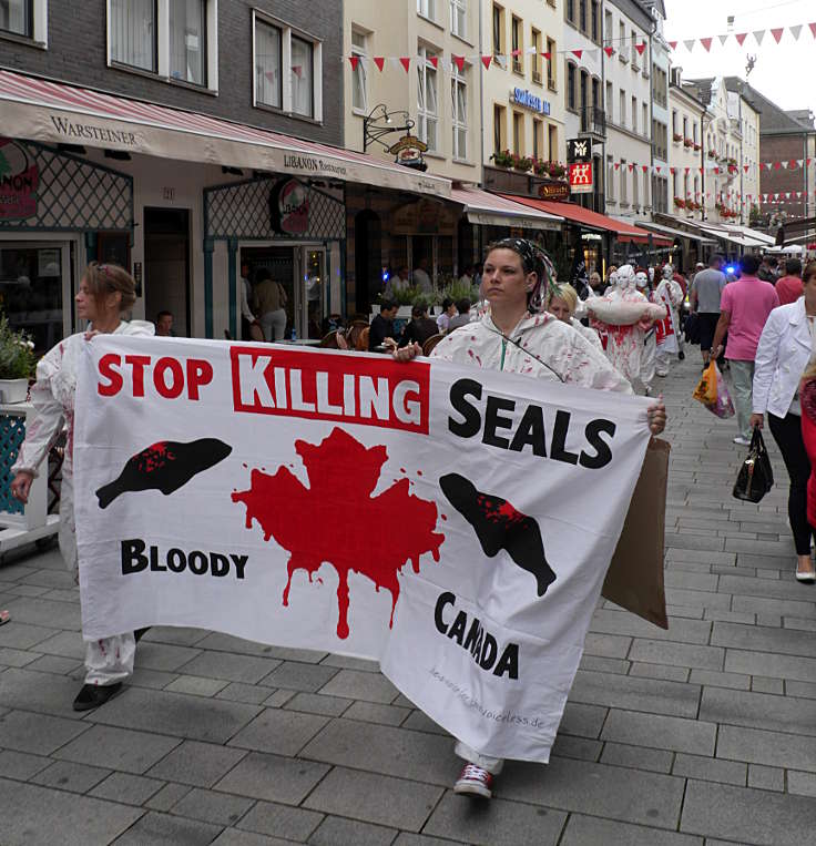 © www.mutbuergerdokus.de: Canada's Shame - Stop the seal hunt