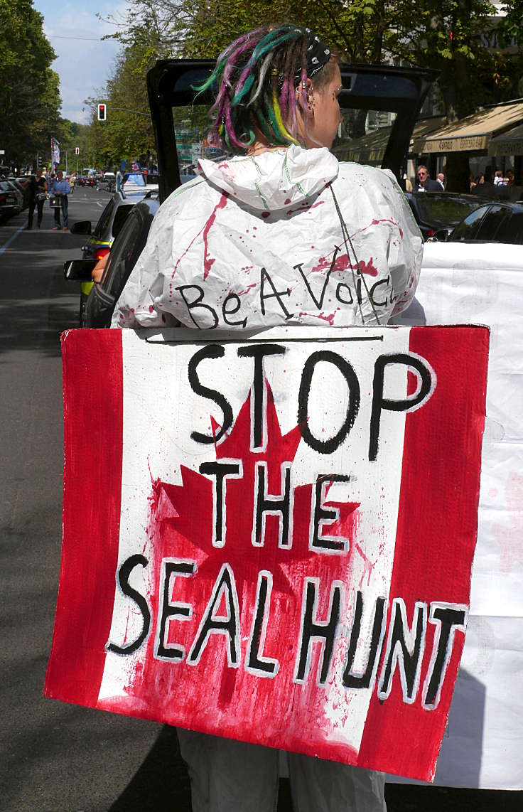 © www.mutbuergerdokus.de: Canada's Shame - Stop the seal hunt