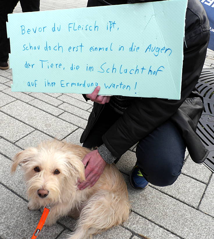 © www.mutbuergerdokus.de: Tierrechtsdemonstration Düsseldorf 2016