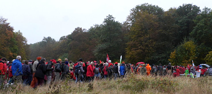 © www.mutbuergerdokus.de: 'Führung Hambacher Forst mit Aktion Rote Linie A4'