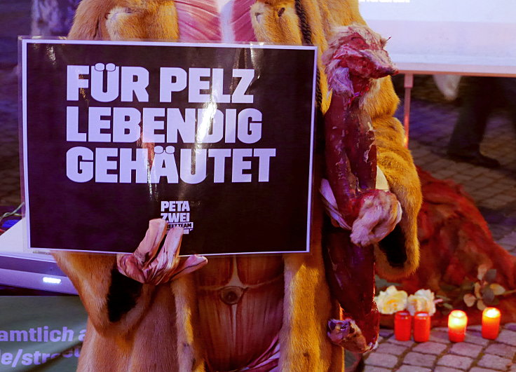© www.mutbuergerdokus.de: Mahnwache: 'Weil mein Pelz mir gehört'!