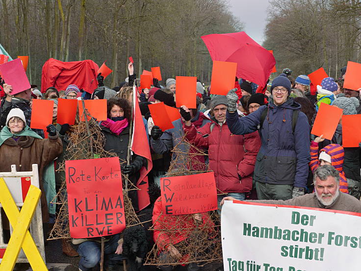 © www.mutbuergerdokus.de: Aktion 'Rote Karte für RWE' - monatliche Waldführung im Hambacher Forst