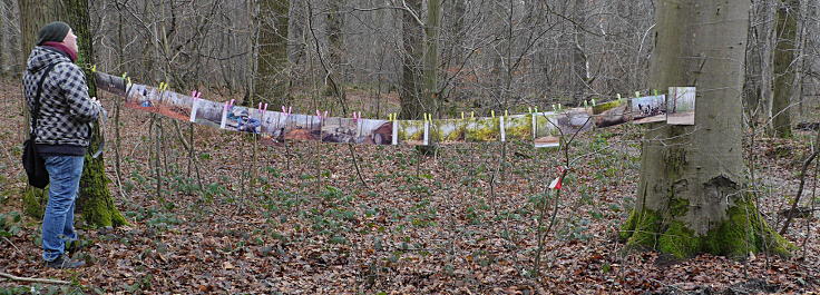 © www.mutbuergerdokus.de: Aktion 'Rote Karte für RWE' - monatliche Waldführung im Hambacher Forst