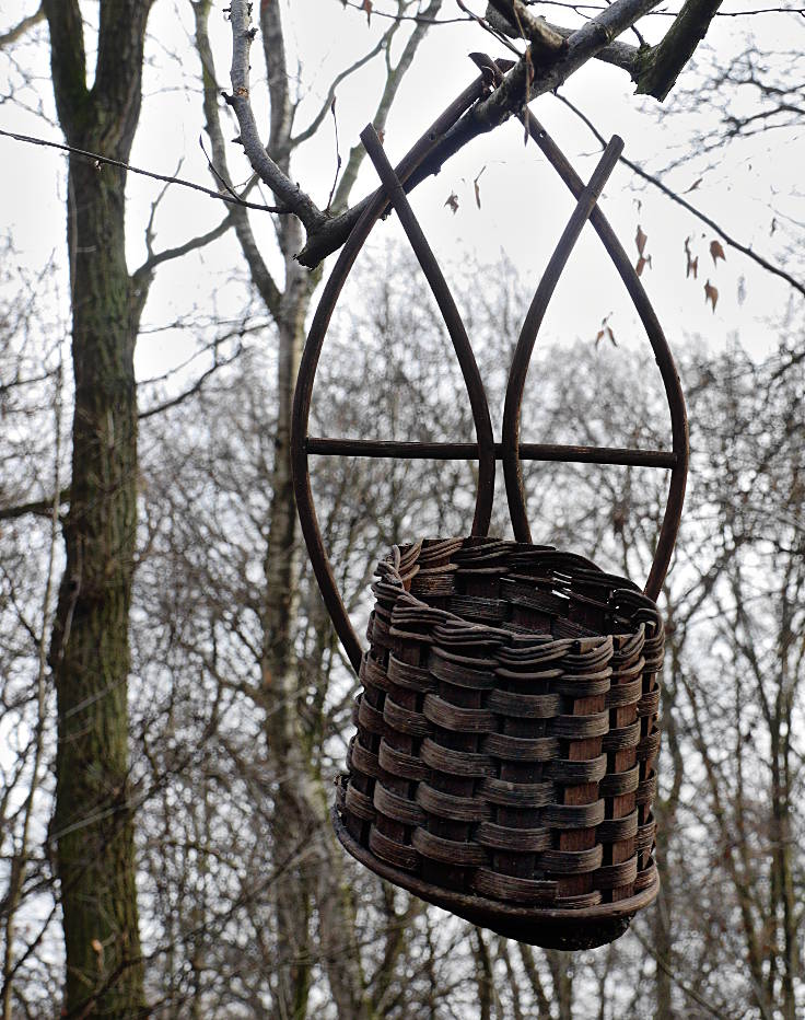 © www.mutbuergerdokus.de: Aktion 'Rote Karte für RWE' - monatliche Waldführung im Hambacher Forst