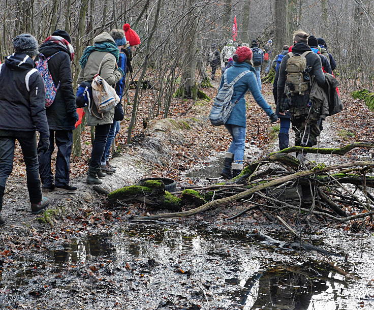 © www.mutbuergerdokus.de: Aktion 'Rote Karte für RWE' - monatliche Waldführung im Hambacher Forst