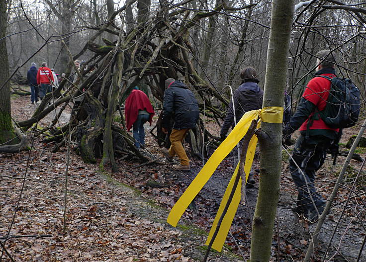 © www.mutbuergerdokus.de: Aktion 'Rote Karte für RWE' - monatliche Waldführung im Hambacher Forst