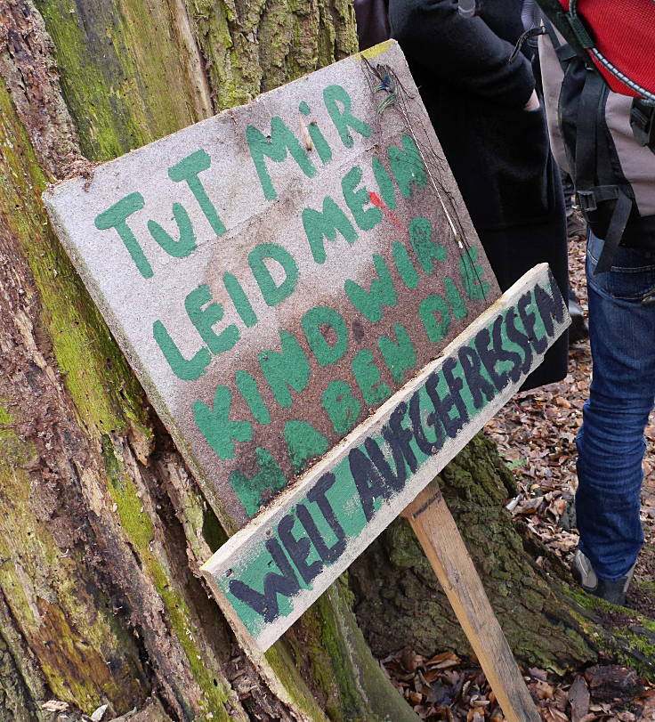 © www.mutbuergerdokus.de: Aktion 'Rote Karte für RWE' - monatliche Waldführung im Hambacher Forst