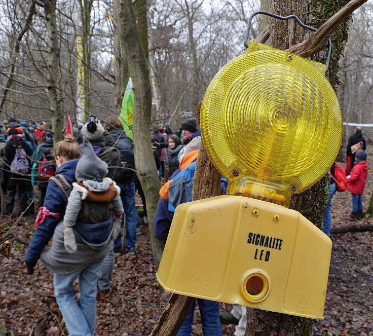 © www.mutbuergerdokus.de: Aktion 'Rote Karte für RWE' - monatliche Waldführung im Hambacher Forst